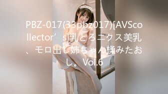 PBZ-017(33pbz017)[AVScollector’s]乳とろニクス美乳、モロ出し姉ちゃん揉みたおし。Vol.6