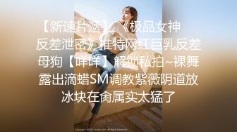 蜜桃影像PME252美团小妹用肉体争取小费