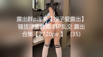 怀孕刚度过3个月危险期骚妻迫不及待要做爱