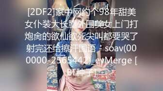 国产麻豆AV MSD MSD010 照料色欲姐夫 袁子仪