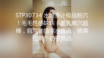 国产麻豆AV MDX MDX0102 笨女孩的聪明想法 苏语棠