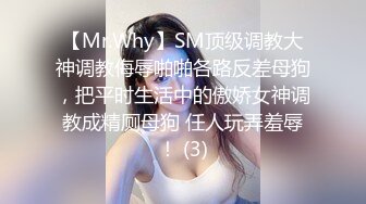 【Mr.Why】SM顶级调教大神调教侮辱啪啪各路反差母狗，把平时生活中的傲娇女神调教成精厕母狗 任人玩弄羞辱！ (3)