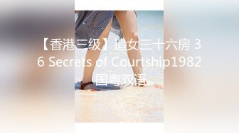 【香港三级】追女三十六房 36 Secrets of Courtship1982 国粤双语