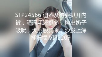 STP24566 迫不及待要扒开内裤，骚逼毛还挺多，掏出奶子吸吮，大屁股骑乘，沙发上深插爆操 VIP2209