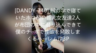 [DANDY-740] 川の字で寝ていたホロ酔い巨乳女友達2人が布団の中に潜り込んできて僕のチ○ポで性欲を発散しまくるハーレム逆3P