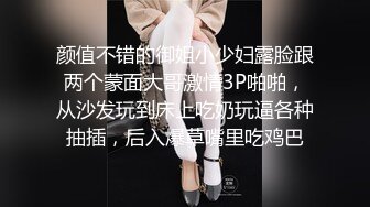 颜值不错的御姐小少妇露脸跟两个蒙面大哥激情3P啪啪，从沙发玩到床上吃奶玩逼各种抽插，后入爆草嘴里吃鸡巴