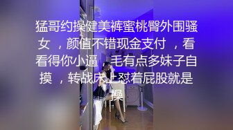 亚洲精品乱码久久久久久无小说