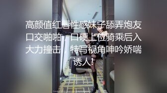 91大神呆哥-酒店约炮人妻小三穿着肉丝高跟啪啪被肛交內射