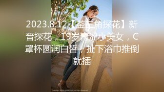 2023.8.12【菳三角探花】新晋探花，19岁青涩小美女，C罩杯圆润白皙，扯下浴巾推倒就插