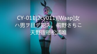 CY-011(2cy011)[Waap]女ハ男ヲ目デ犯ス。前野さちこ天野理穂松浦唯