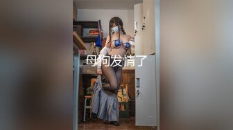 CRIM-029(h_254crim00029)[STARPARADISE]エロコス巨乳女が僕の自宅にやってきた！