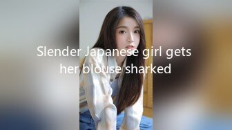 Slender Japanese girl gets her blouse sharked