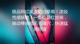  胸前纹身性感十足美女玩SM绑在架子上，性感吊带黑丝袜，项圈塞吸蛋舔菊