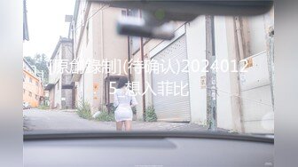 叶子姐姐和闺蜜4P大秀1