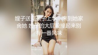 红斯灯影像 RS-003 豪乳女贼抢劫巨乳富家女-孟若羽 金宝娜