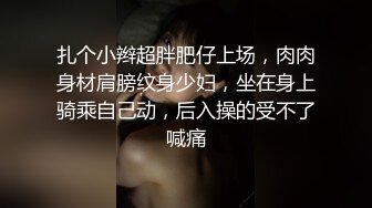 重金定制，考研美女待舍友全走後私拍，全裸自摸模仿被肏滿嘴各種騷話聽的熱血沸騰～稀缺資源勁爆收藏 (2)