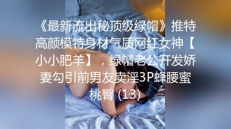 《最新流出秘顶级绿帽》推特高颜模特身材气质网红女神【小小肥羊】，绿帽老公开发娇妻勾引前男友卖淫3P蜂腰蜜桃臀 (13)