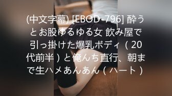 (中文字幕) [EBOD-796] 酔うとお股ゆるゆる女 飲み屋で引っ掛けた爆乳ボディ（20代前半）と俺んち直行、朝まで生ハメあんあん（ハート）