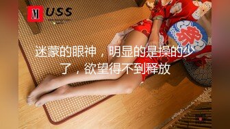 南宫 能代女仆