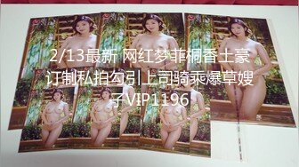 2/13最新 网红梦菲桐香土豪订制私拍勾引上司骑乘爆草嫂子VIP1196