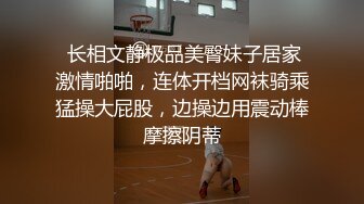 丰满的女人就是好没插几下淫水都弄湿鸡巴了