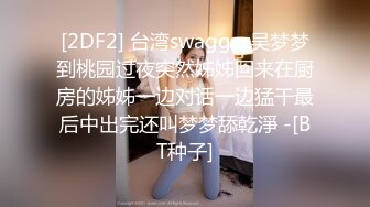 [2DF2] 台湾swagger吴梦梦到桃园过夜突然姊姊回来在厨房的姊姊一边对话一边猛干最后中出完还叫梦梦舔乾淨 -[BT种子]