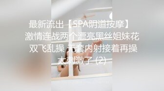 MDHG0010 麻豆传媒 这个面试有点硬 麻豆活泼可爱担当 艾鲤