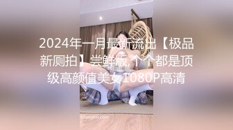 2024年一月最新流出【极品新厕拍】尝鲜版,个个都是顶级高颜值美女1080P高清