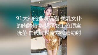 你的专属小新娘