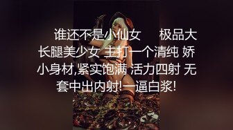 后入操骚逼