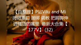 【自整理】P站Vilu and Mi 微微重口 捆绑 调教 把脚脚伸进骚货的嘴里  最新大合集【177V】 (32)