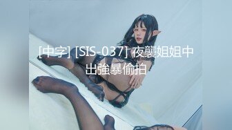 [中字] [SIS-037] 夜襲姐姐中出強暴偷拍