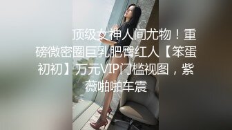 ⚫️⚫️顶级女神人间尤物！重磅微密圈巨乳肥臀红人【笨蛋初初】万元VIP门槛视图，紫薇啪啪车震