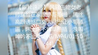 超火小姐姐推荐极品美图 Photochips Vol.129 No.17 Dami 大尺度假 J插入私拍套图