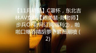 【11月精品】C罩杯，东北吉林AV女优【陈美慧-陈老师】步兵OF官网订阅福利②，啪啪口爆吞精胡萝卜紫薇潮喷 (2)