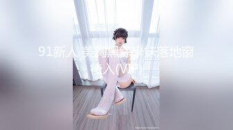 91新人 美胸黑絲學妹落地窗後入(VIP)