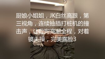 厨娘小姐姐，JK白丝高跟，第三视角，连续抽插打桩机的撞击声，让母狗高潮全程，对着镜头操，完美露脸3