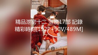 精品泄密十二 泄密17部 記錄精彩時刻[192P+90V/489M]