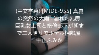 (中文字幕) [MIDE-955] 真夏の突然の大雨…濡れた乳房 巨乳女上司と絶倫部下が朝まで二人きりでホテル相部屋 中山ふみか