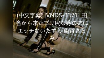 (中文字幕) [VNDS-3371] 田舎から来たプリ尻な嫁の姉にエッチないたずら 染谷さとみ