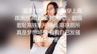 ❤️温柔典雅❤️非要我穿上高跟黑丝满足他的恋物癖，超级羞耻高铁厕所挑战 高铁厕所真是梦想场景 看着自己发骚的样子好害羞