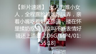 再操老王的老婆