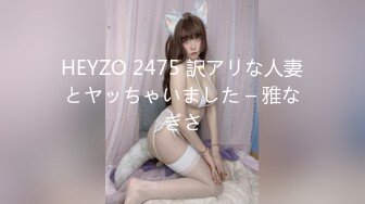 HEYZO 2475 訳アリな人妻とヤッちゃいました – 雅なぎさ