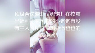 19岁学生妹！【陈陈尼】女仆装大屁股，道具插小穴 女仆装，菊花鲍鱼小美乳，给你想看的一切撸管佳作 (3)