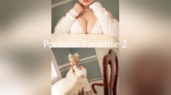 Pornstar Paradise 2