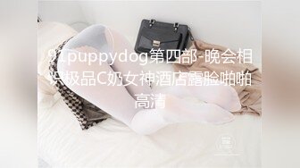 91puppydog第四部-晚会相识极品C奶女神酒店露脸啪啪高清