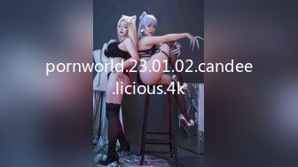 pornworld.23.01.02.candee.licious.4k