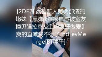 潜入商场女厕 偷拍极品网红脸美女 分泌物染脏了内内