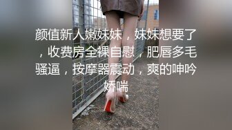 顶级炸裂高能预警！比女人还女人高颜值纹身极品T娘【李鑫柔】私拍，能攻能守能足能口技术一流直男最爱 (19)